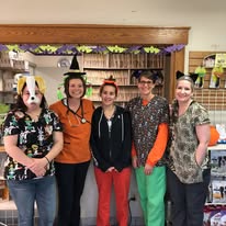 Staff during Halloween, 2
